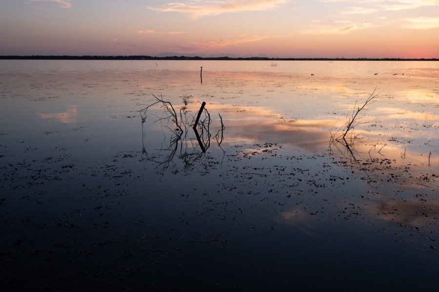 Tramonto sull'Oasi LIPU di Massaciuccoli